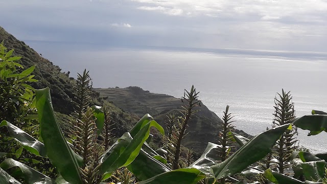Rocha dos Bordões
