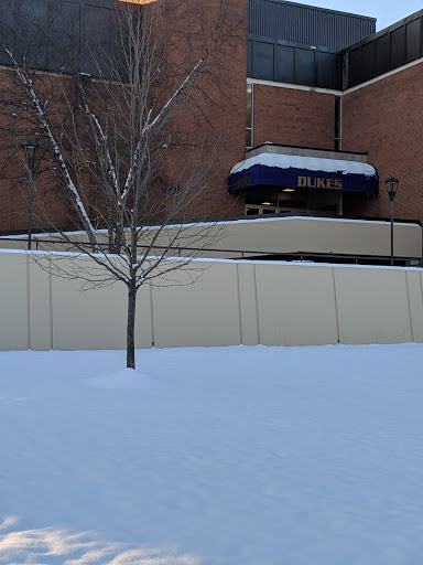 Godwin Hall - Visual