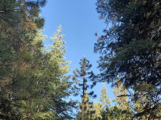 Battle Creek Campground - Thumbnail