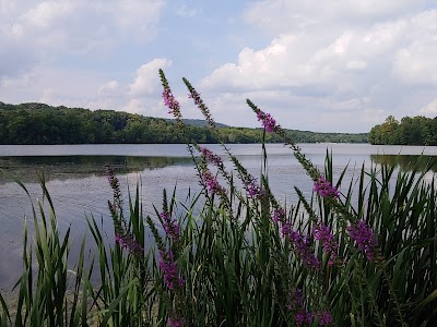 Pinchot Park Conewago Day Use Area