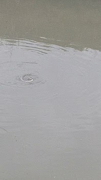 北河原用水元圦