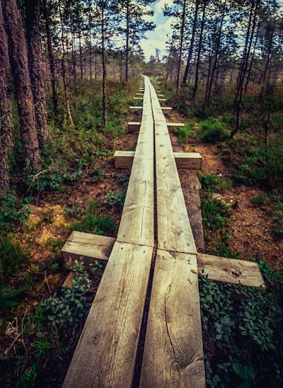 Photos of Oandu-V&otilde;su matkarada