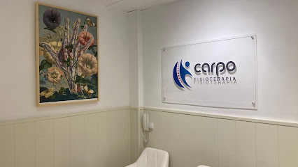 Fisioterapia y Osteopatía Carpo Madrid Argüelles