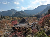 本光山 三寳寺