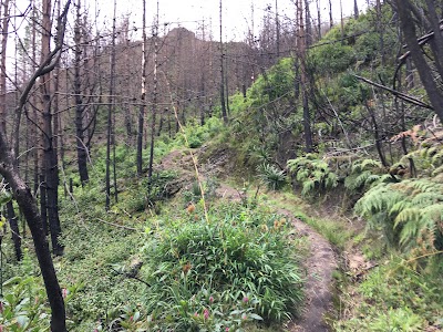 Photos of Ermita de la Pe&ntilde;a