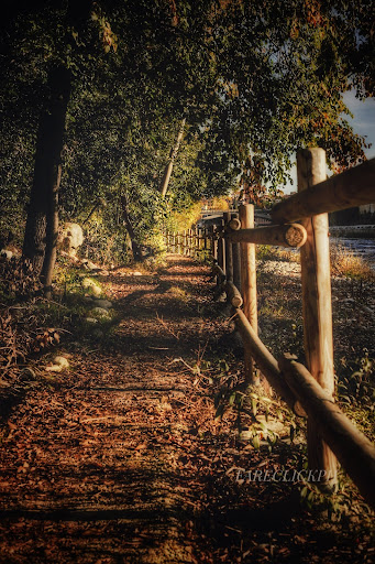 Sentiero Naturalistico - Centenario ANA Montegrappa - Thumbnail