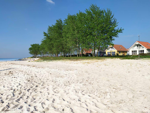 Ferienhaus Wackerama mit vollem Meerblick - Thumbnail