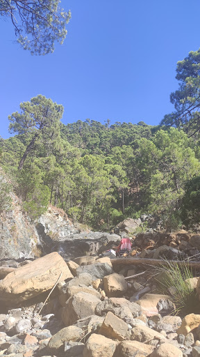 Ruta fluvial arroyo del quejigo - Thumbnail