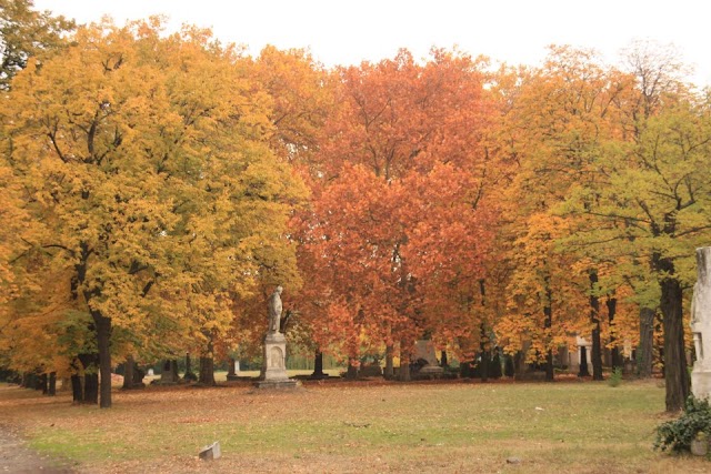 Cimetière national de Fiumei út