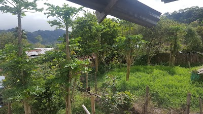 Photos of Pargue Principal