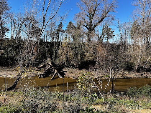 Senda Fluvial del Manzanares