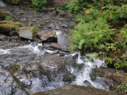 Cedar Mill Falls - Visual