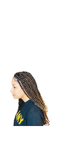 Cheveux by Chel Hair & Braid Bar, LLC - Thumbnail