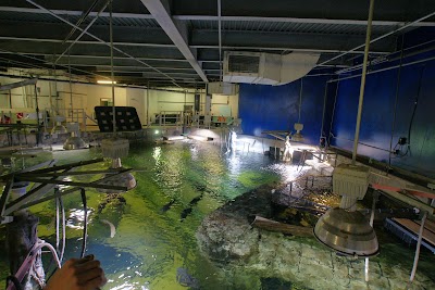 Photos of Newport Aquarium