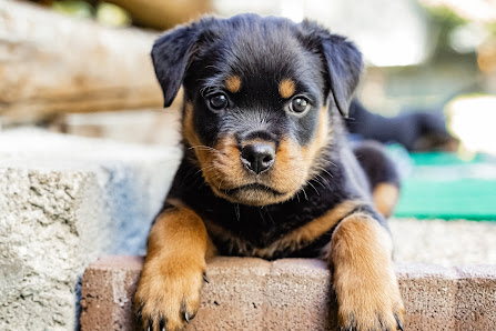 Rottiranch Angerleweg 8, 6416 Obsteig, Österreich