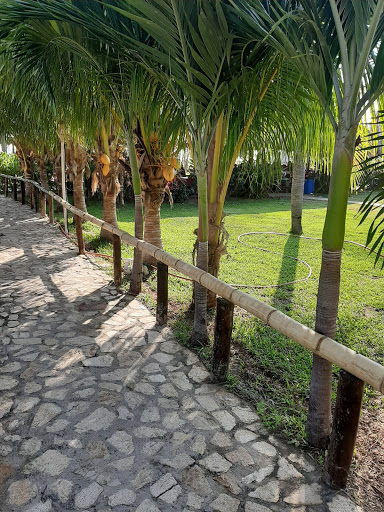 Jardin De Eventos Casa Mia - Thumbnail