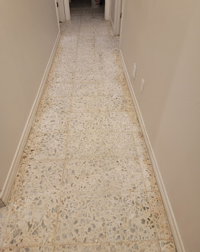 CARPEt_D.M - Thumbnail