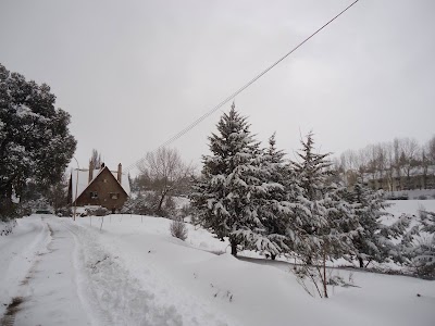Photos of Caf&eacute; Annokhba