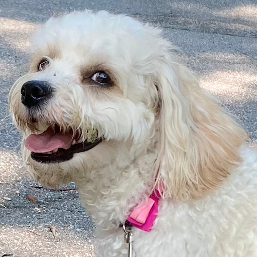 Flat Rock Pets - Personalized Pet Services - Thumbnail