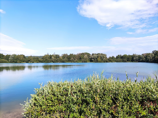 Étang de Villemaur - Thumbnail
