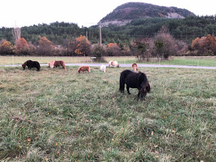 Photo n°4 de Fromagerie Raspail à Vers-sur-Méouge (Ferme à visiter)