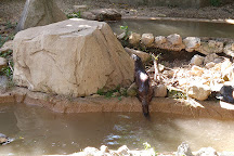 Miller Park Zoo, Bloomington, United States