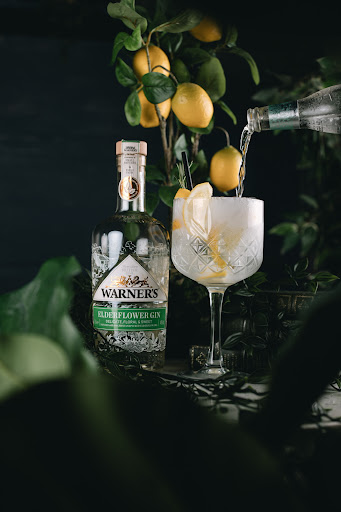 Gin 64 - Visual