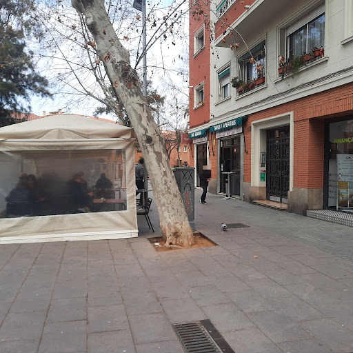 Bar Bodega - Visual