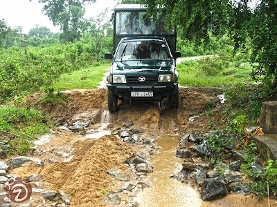Photos of Walawe Safari