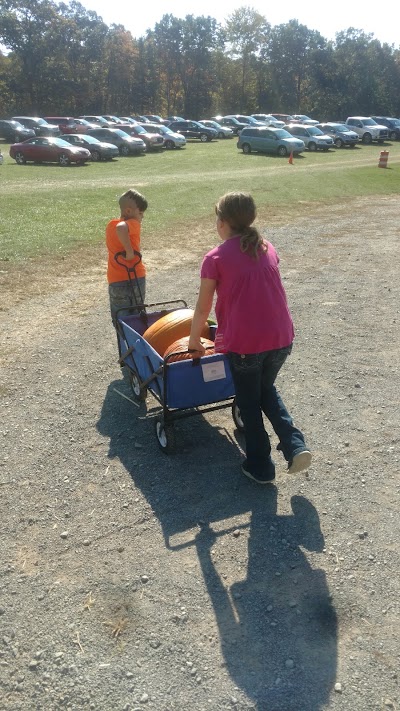 Photos of Cheeseman Farm