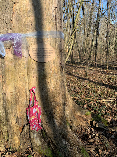 Feenbaum