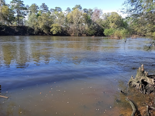 Punk's Landing - Visual