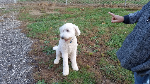 Maize Memorial Dog Park, llc - Thumbnail