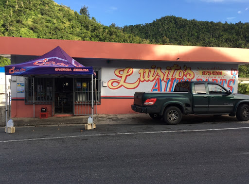 Luisito Auto Parts