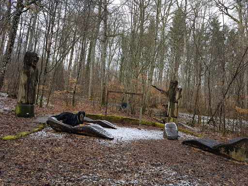 Waldlehrpfad Ehningen - Thumbnail