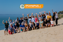 Chlorophyll à Vallauris