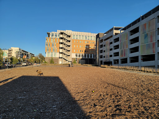 North City Dog Park - Thumbnail