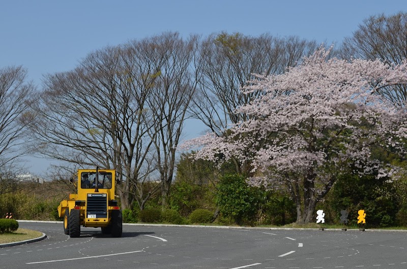 株式会社小名浜自動車学校