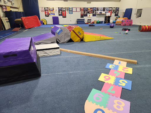 Wilson School-Gymnastics-Dance