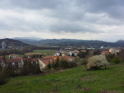 Bragno - Visual