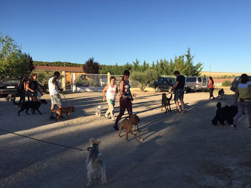 Hotel para perros Nudacan Navarra