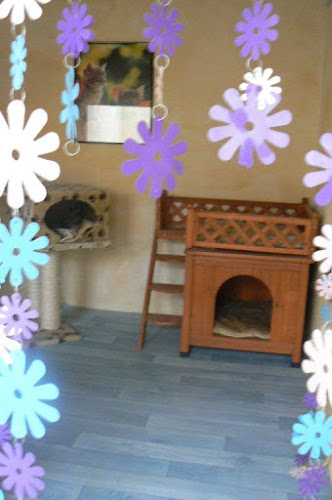 Pension Animaux 66 - Dresseur pour chiens