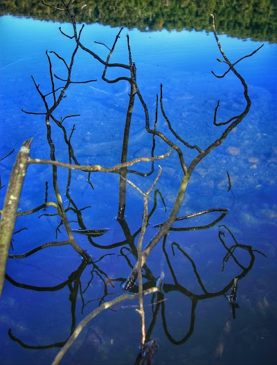 Photos of "Lago Tinquilco" (Aguas Quietas)