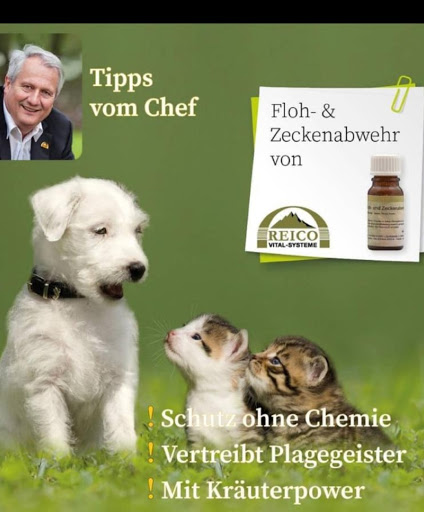 Reico Berater Vertrieb Stefanie Dörlitz - Thumbnail