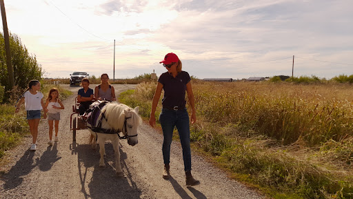 Le Cocon du Marais Poney-club. - Thumbnail