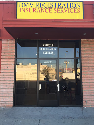 DMV VEHICLE REGISTRATION EXPERTS - Thumbnail