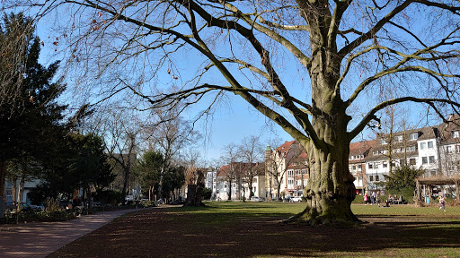 Linnenbrinks Garten - Thumbnail