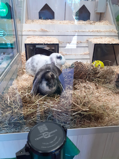Pets at Home Norwich - Thumbnail