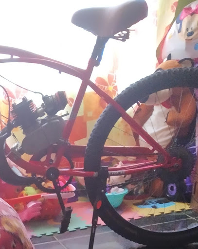 Motobicis anikilius