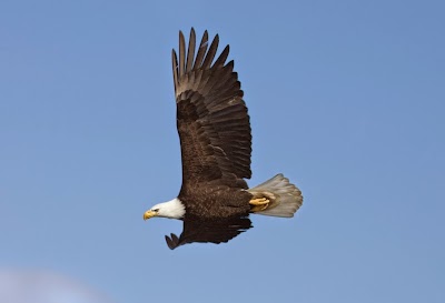 Photos of Eagle Transmission and Auto Repair